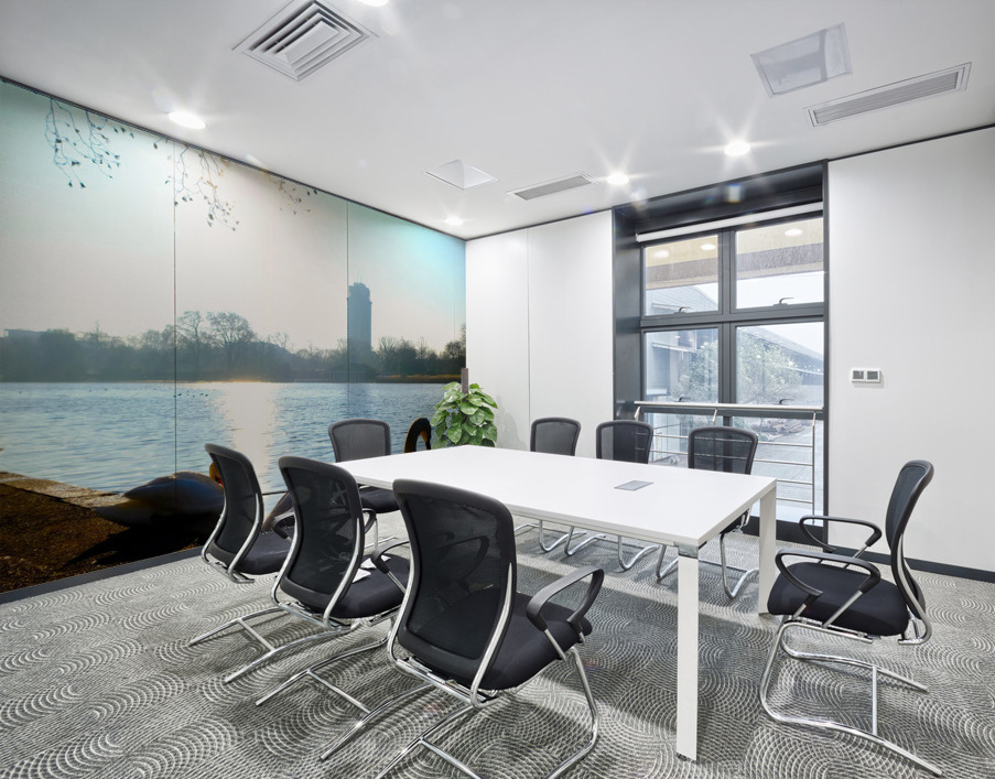 Swan Yoga Morning Stretch 2 Wall Printing