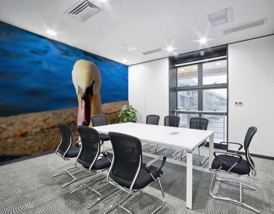 Swan Face 3 Wall Printing