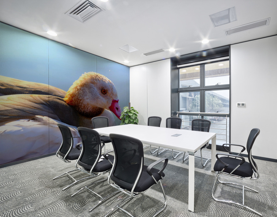 Duck Face 1B Wall Printing