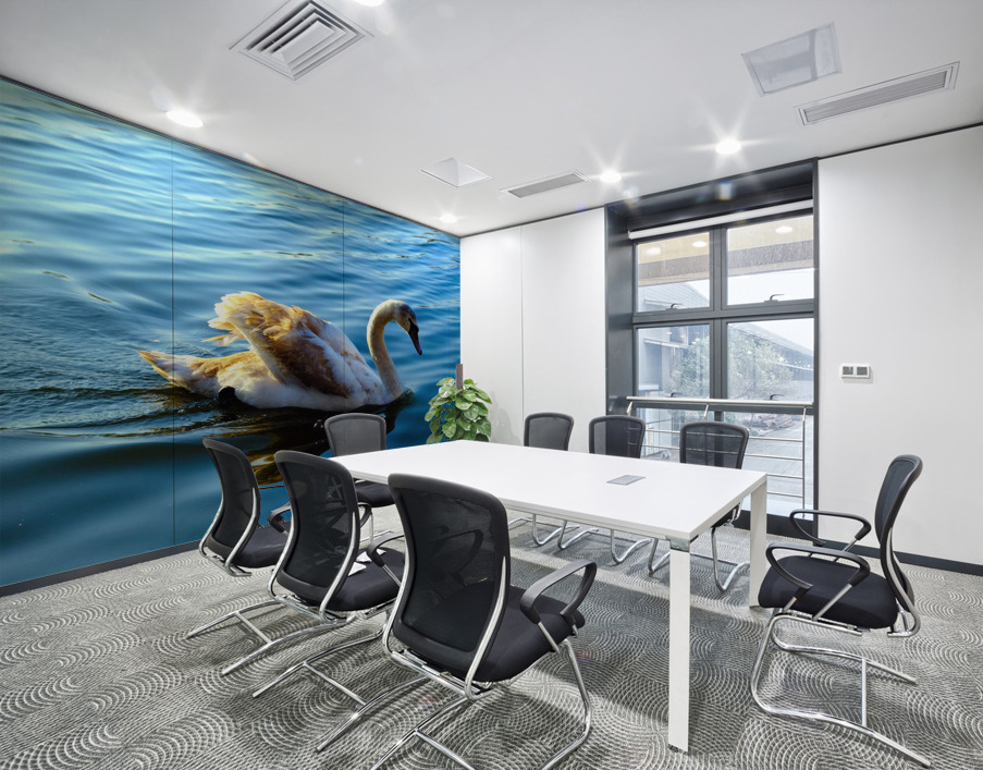 Baby Swan Cygnet Wall Printing