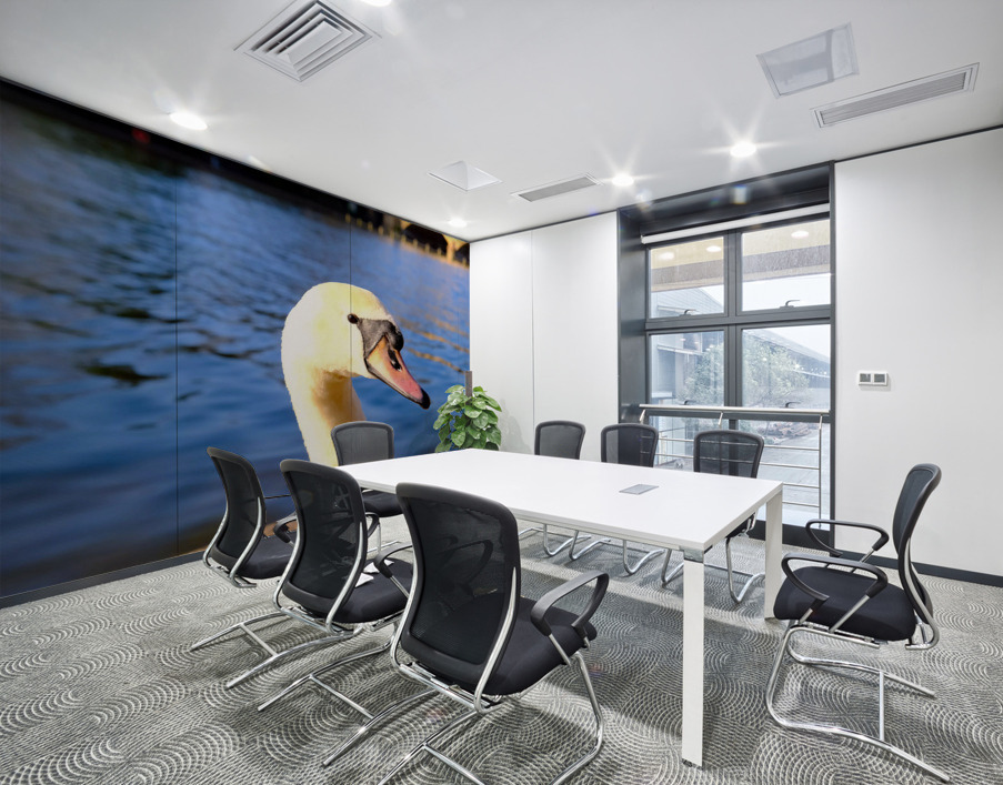 Graceful Swan by the River Wall Printing