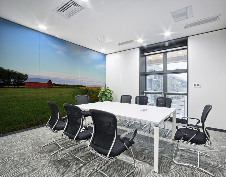 Raising Sunshine Sunflower Farm Wall Printing