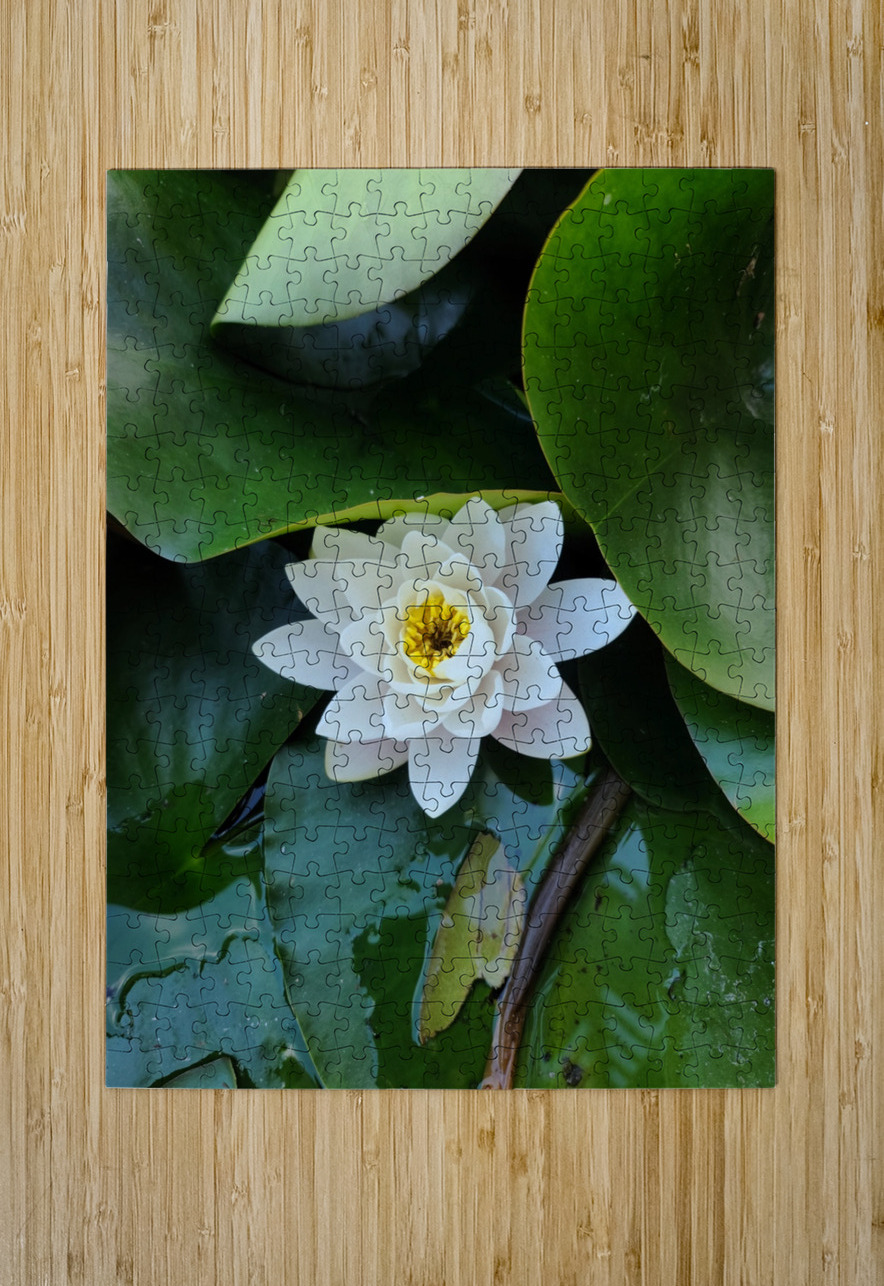 The Heart Within: Petals of Peace Click4Pix Puzzle printing