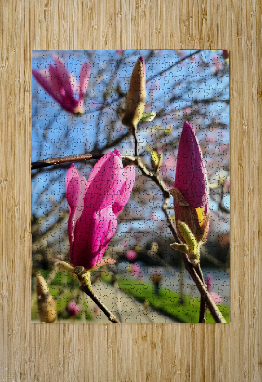 Buds of Hope and the Promise of Spring Click4Pix Puzzle printing