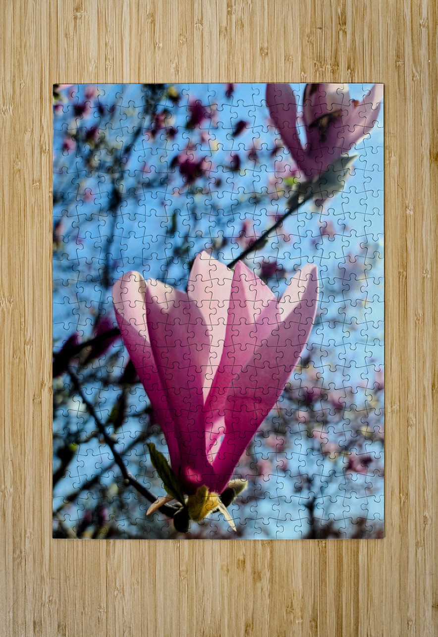 Petals Reflecting a Quiet Morning Click4Pix Puzzle printing