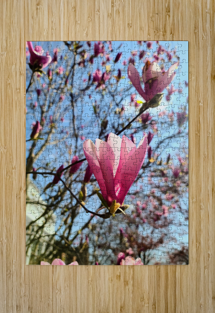 Spring Sun Worshipping Magnolia Click4Pix Puzzle printing
