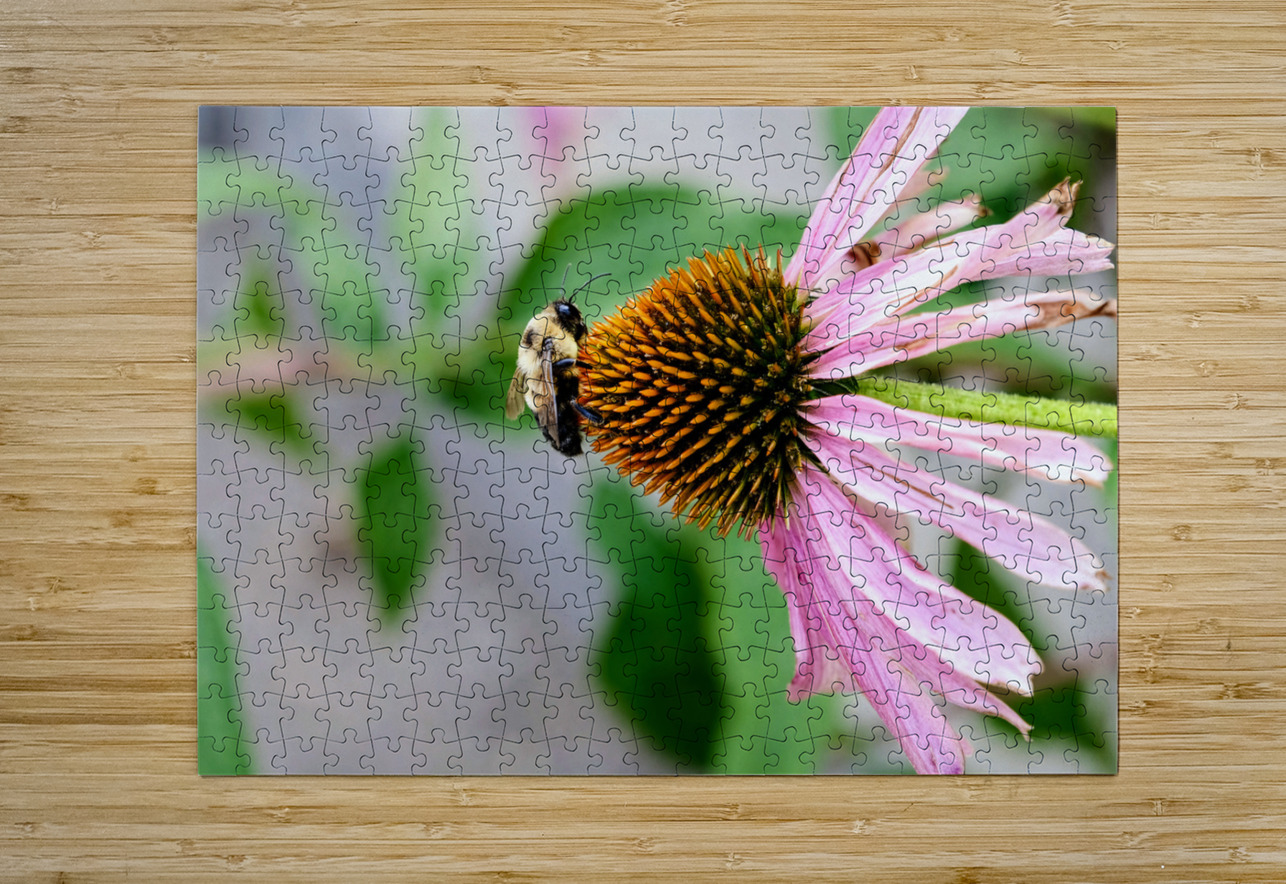 The Bee and the Purple Coneflower Click4Pix Puzzle printing