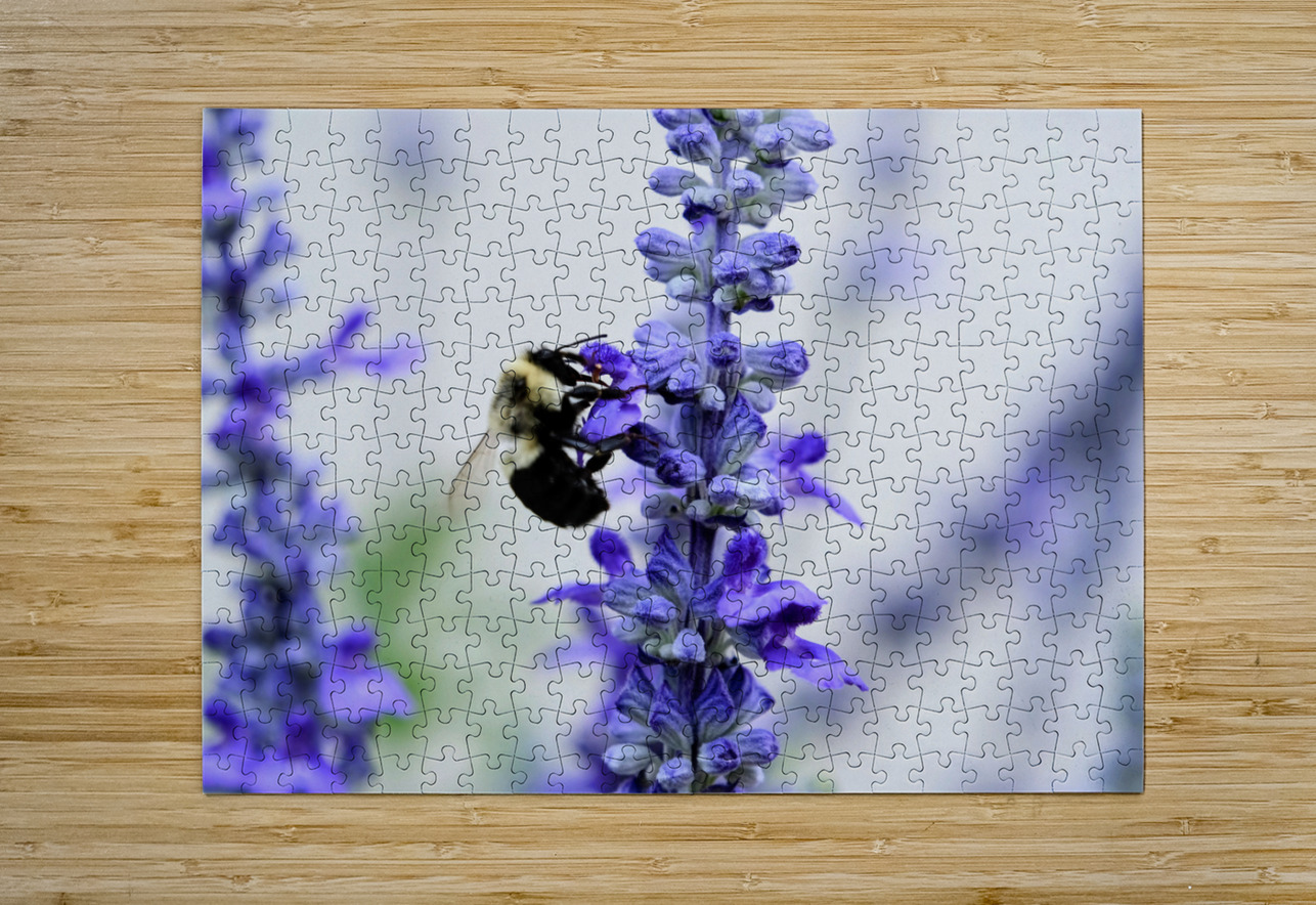 Bee Salivating the Blue Salvia Click4Pix Puzzle printing
