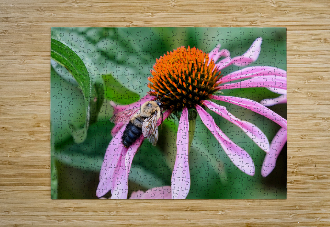 Stillness Amid the Spires of Echinacea Click4Pix Puzzle printing