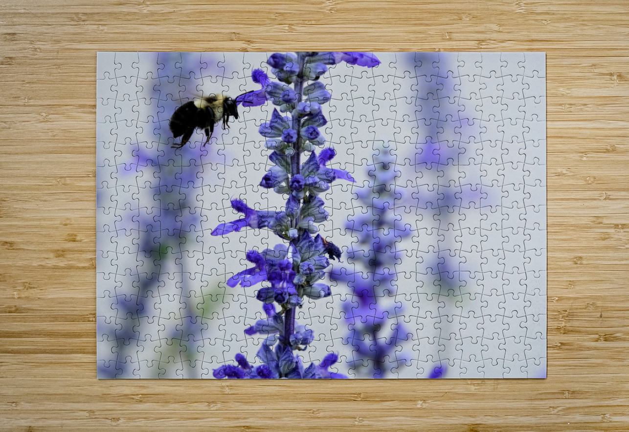 Salvia Bloom & the Pollinator Click4Pix Puzzle printing