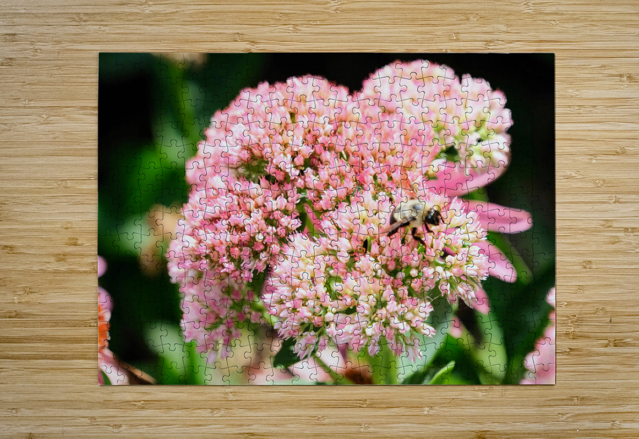  Sedum and the Messenger of Life Click4Pix Puzzle printing