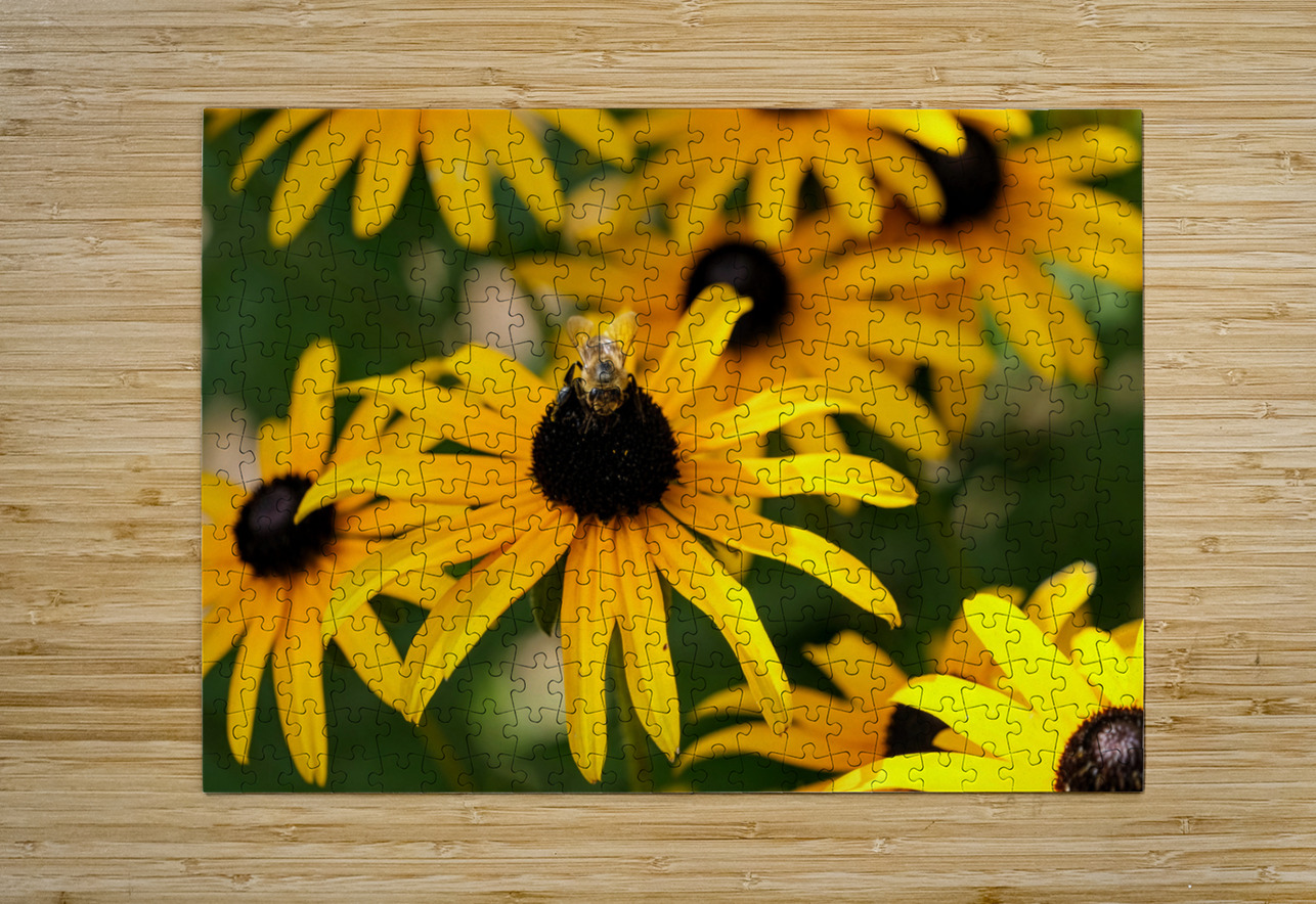 Bee One with Black-Eyed Susan Click4Pix Puzzle printing