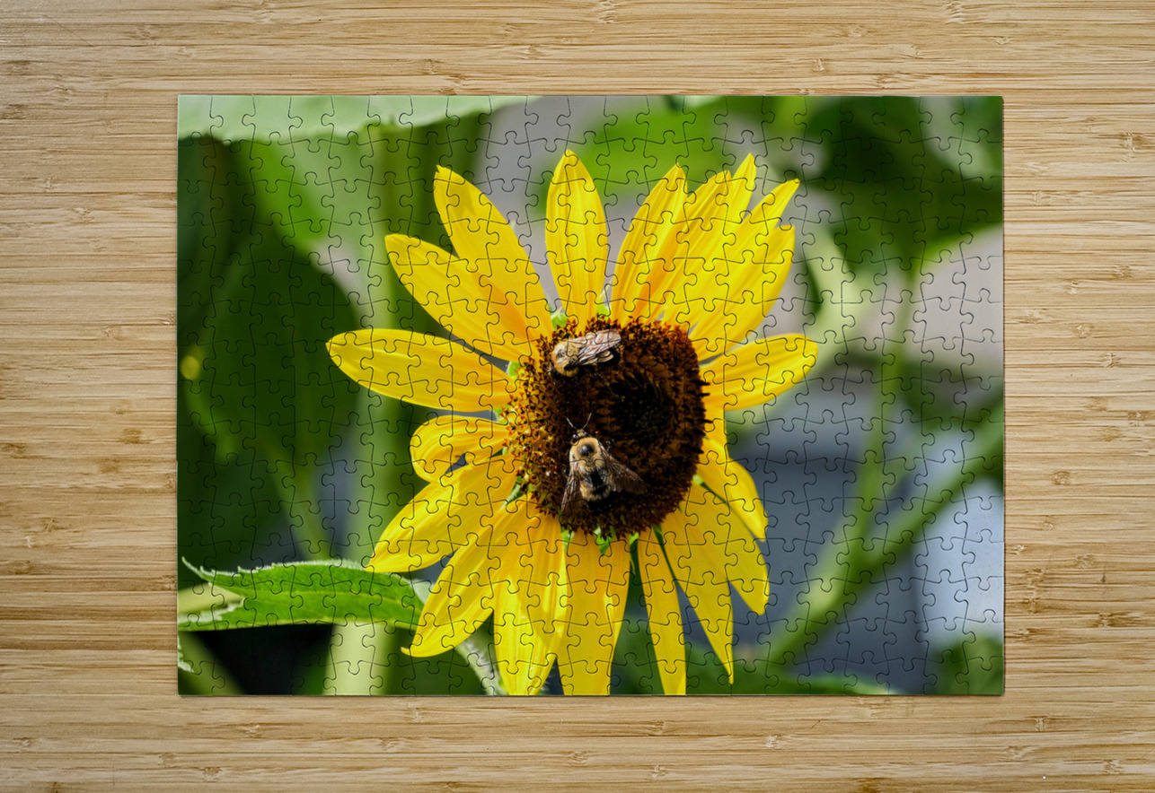 The Sunflower Keeps Time for Two Click4Pix Puzzle printing