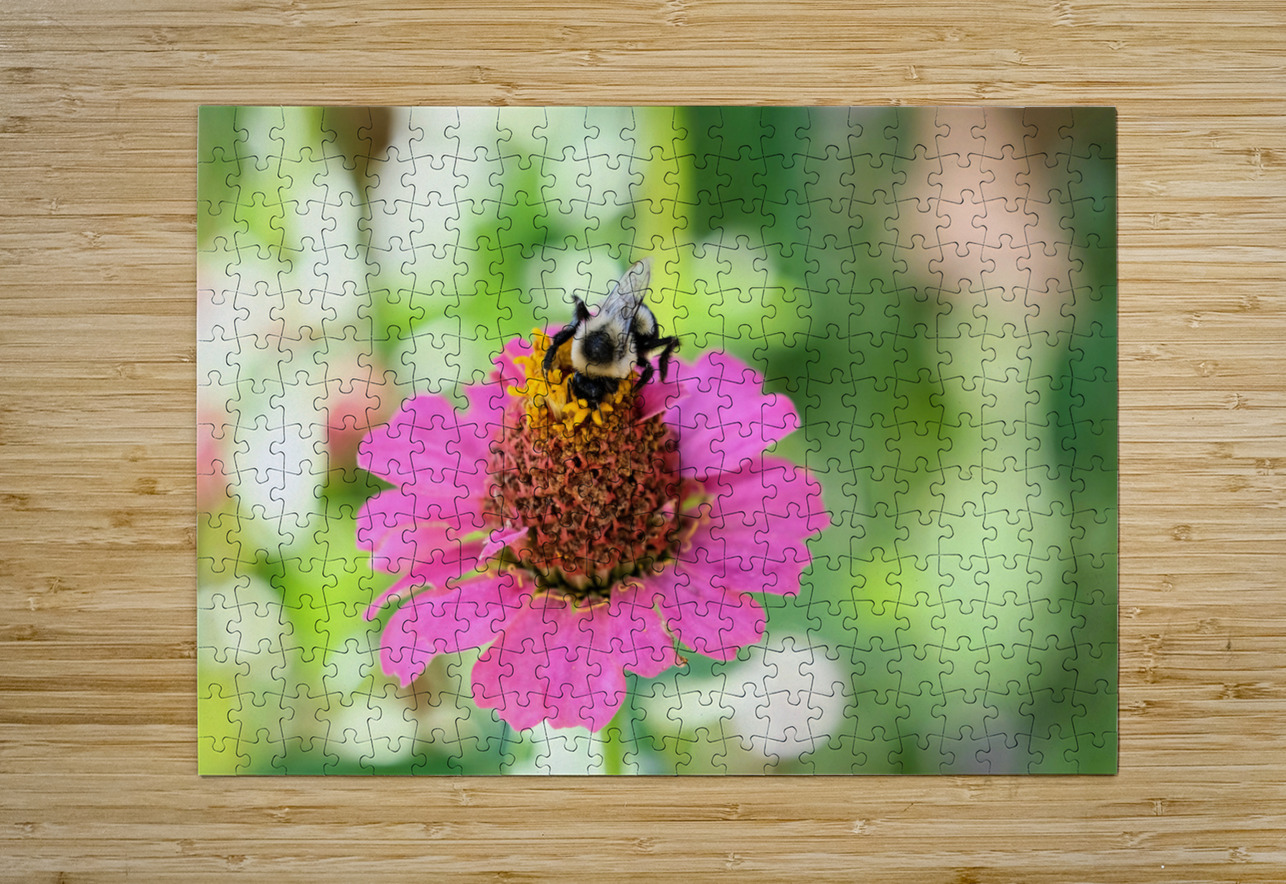 Tiny Architect of the Bloomworld Click4Pix Puzzle printing