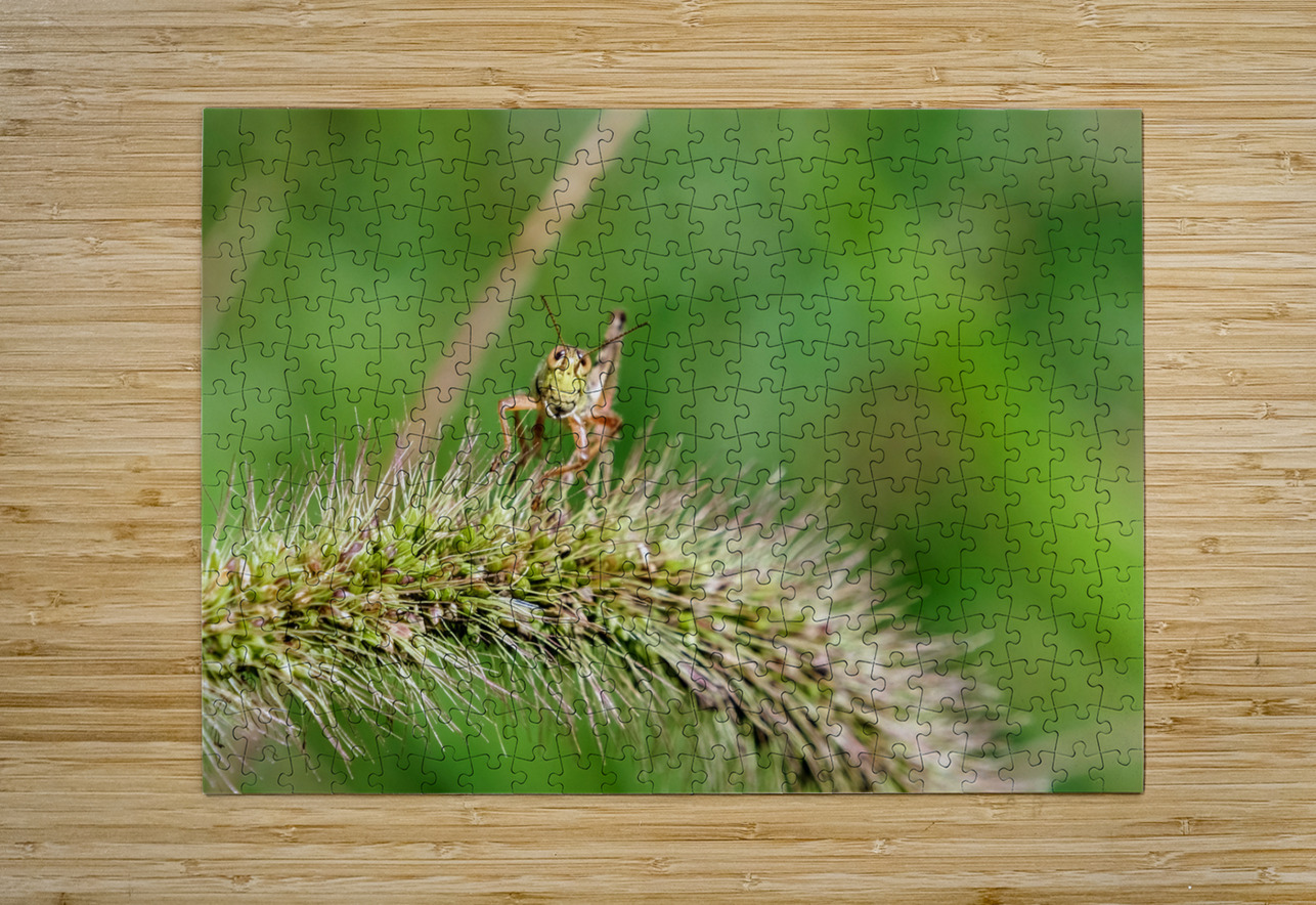 Smiling Happy Hopper on the Wild Silk Spine Click4Pix Puzzle printing