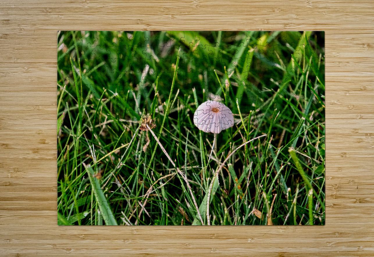 The Littlest Umbrella Click4Pix Puzzle printing