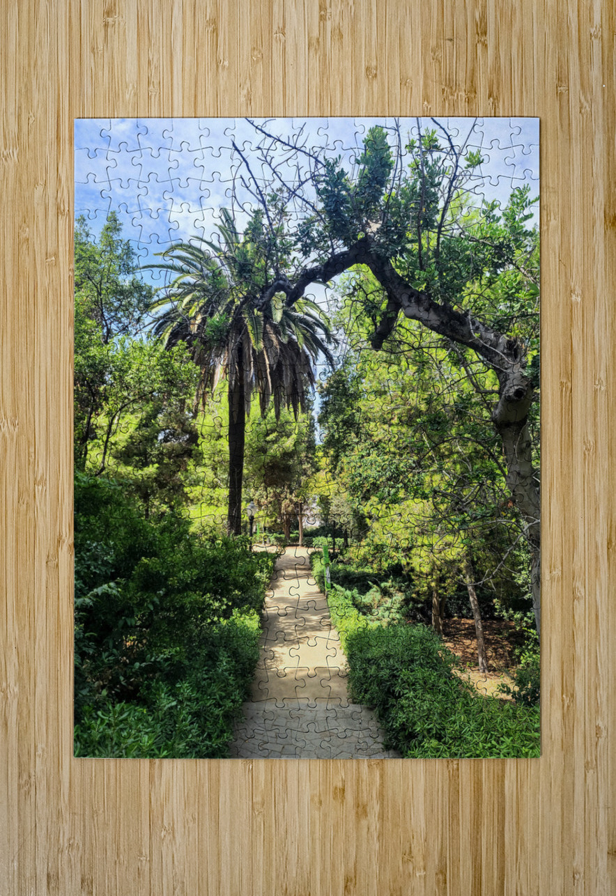 Path to the Palms Click4Pix Puzzle printing