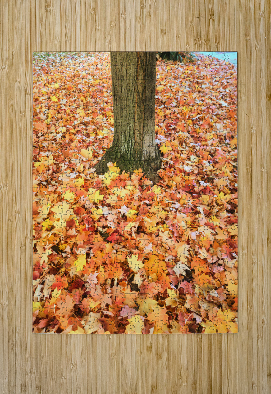 Leaves Me Stumped: Rooted in Color Click4Pix Puzzle printing