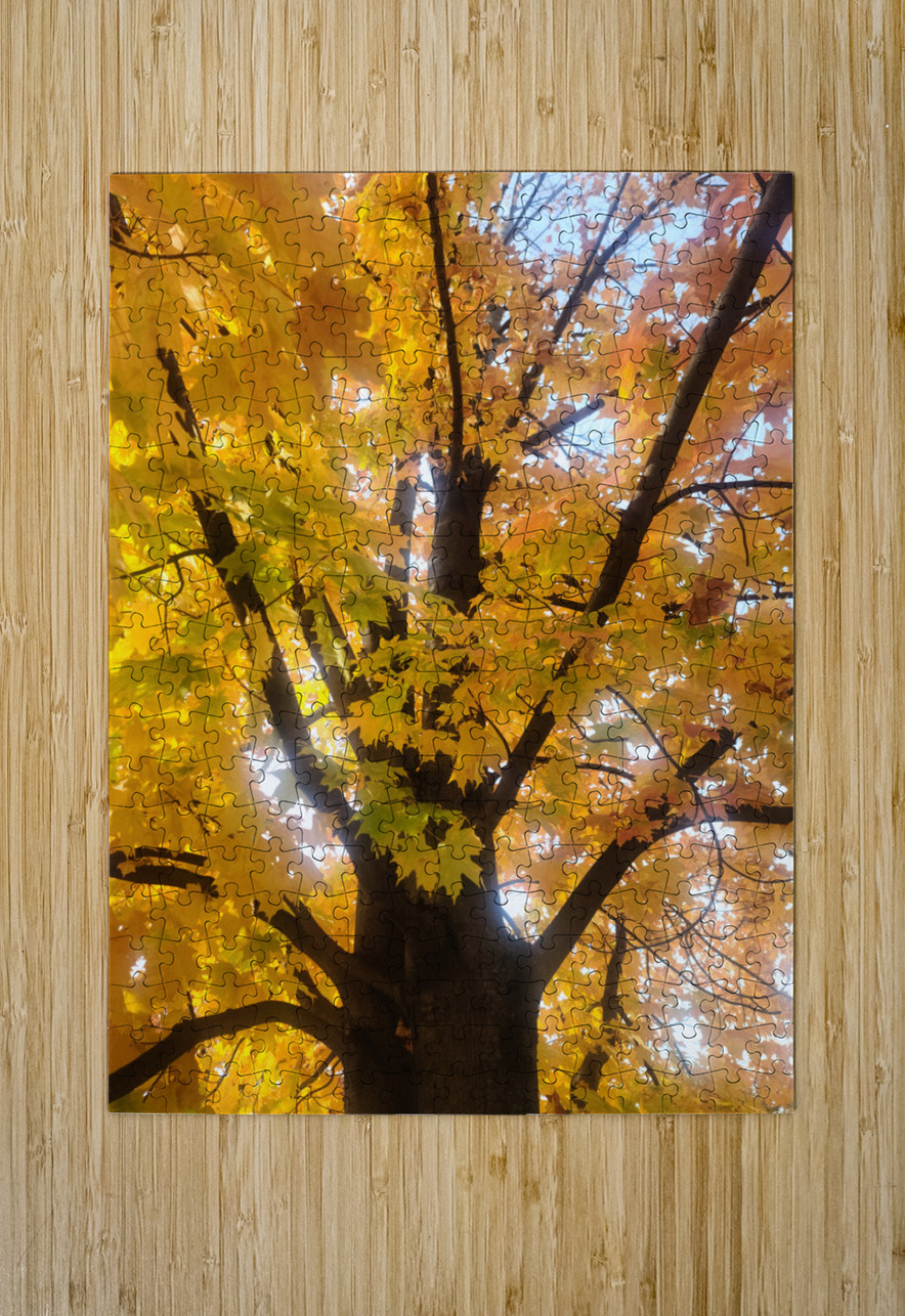 Golden Hour Tree Time: Crowned by Fall Click4Pix Puzzle printing