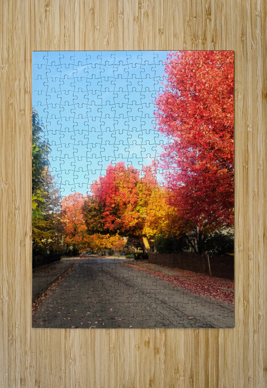 Fall Over the Fence Click4Pix Puzzle printing