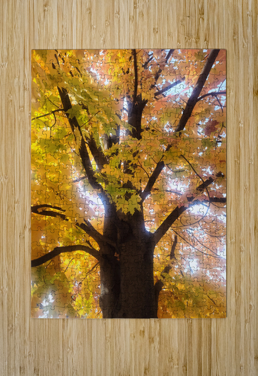 Golden Hour Tree Time 1A  Click4Pix Puzzle printing