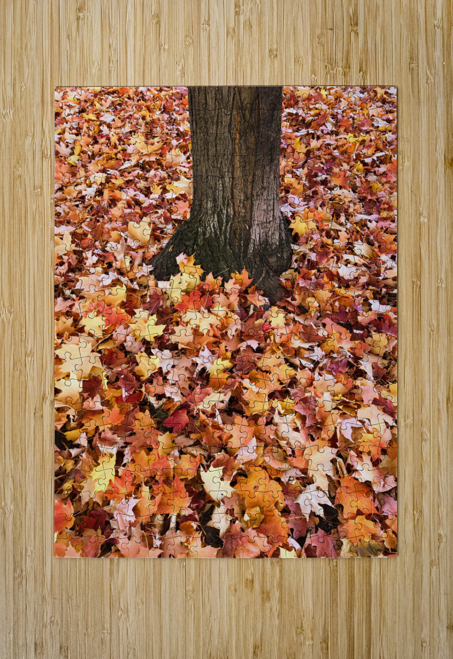 Leaves Me Stumped 1A Click4Pix Puzzle printing