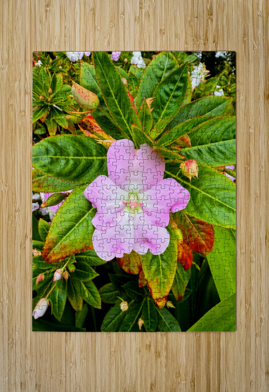 Impatiens: Soliloquy in Pink Click4Pix Puzzle printing