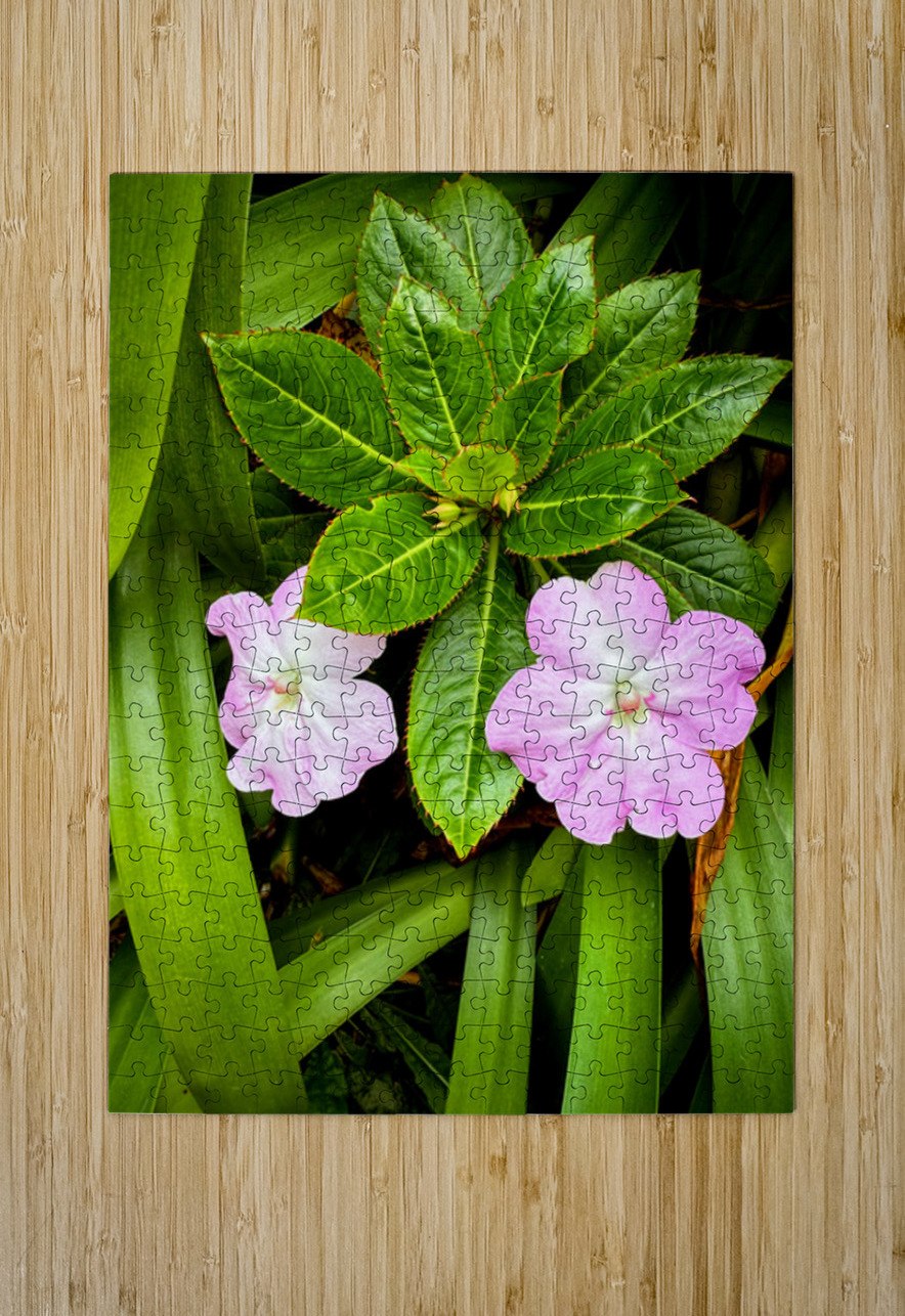 Twin Beauty & Symmetry Click4Pix Puzzle printing