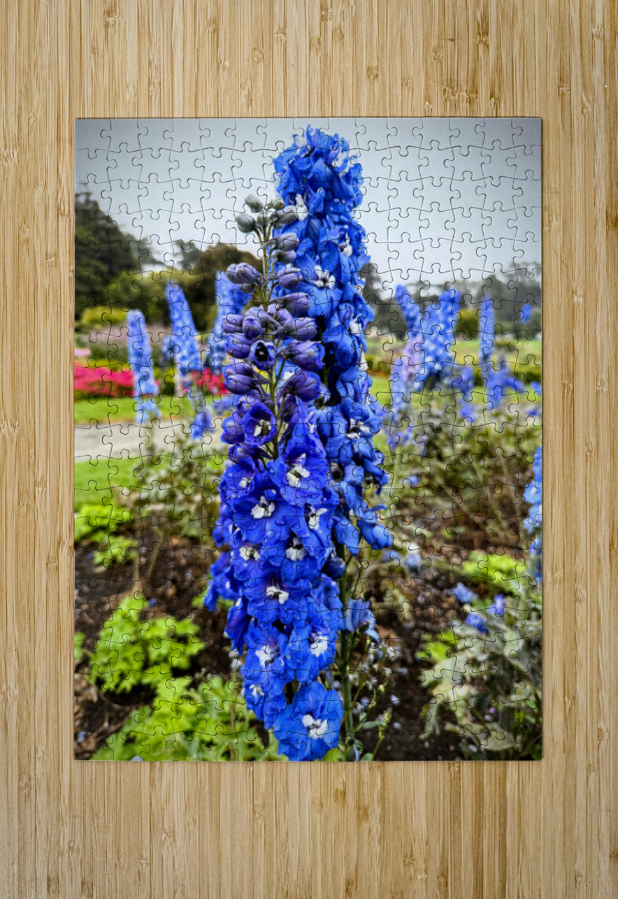 Larkspur: Midnight Choir of the Garden Realm Click4Pix Puzzle printing