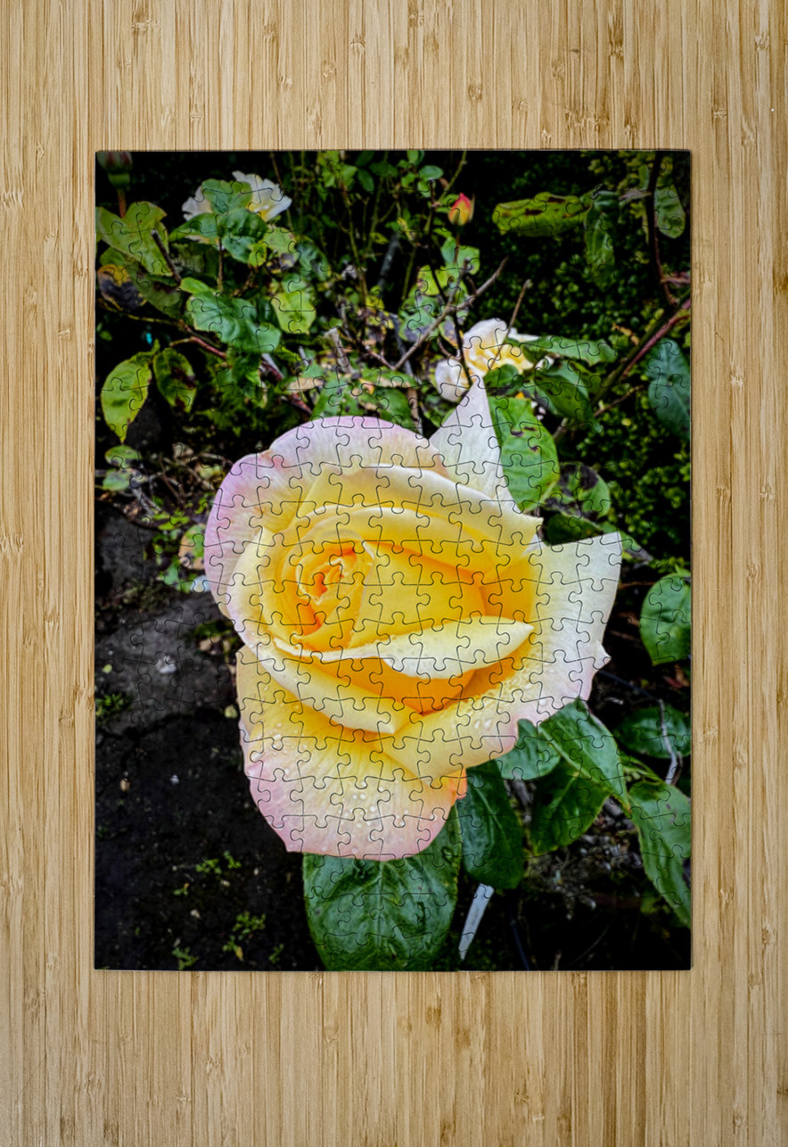 Alchemy in Bloom Click4Pix Puzzle printing