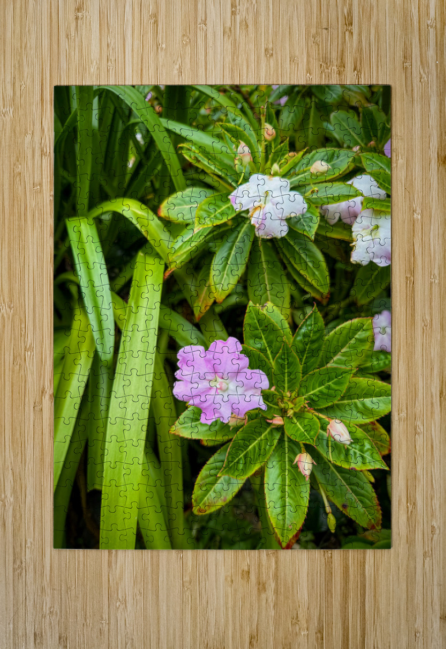 Green Rhythm Pink Pause Click4Pix Puzzle printing