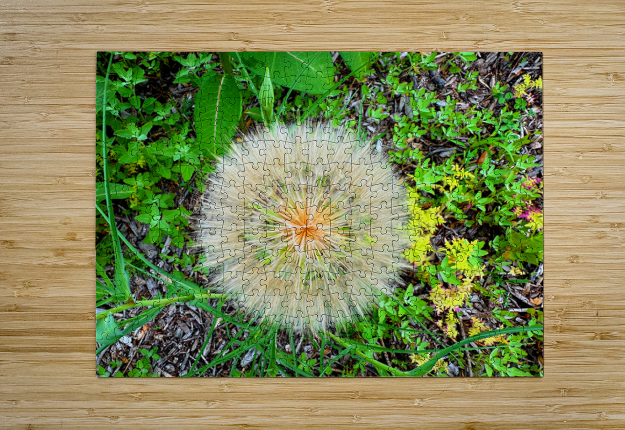 The Poetic Geometry of a Meadow’s Breath Click4Pix Puzzle printing
