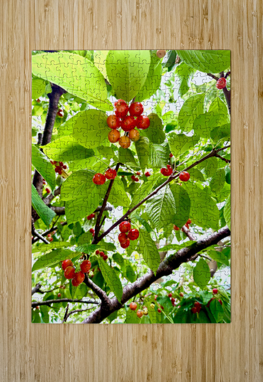 Emerald Boughs and Scarlet Promises Click4Pix Puzzle printing