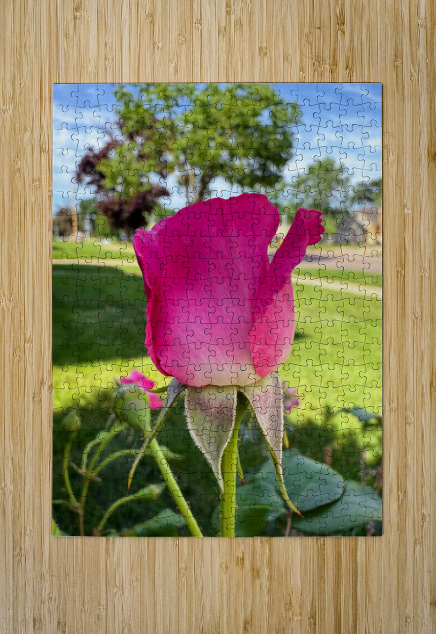 The Blush Before the Bloom Click4Pix Puzzle printing