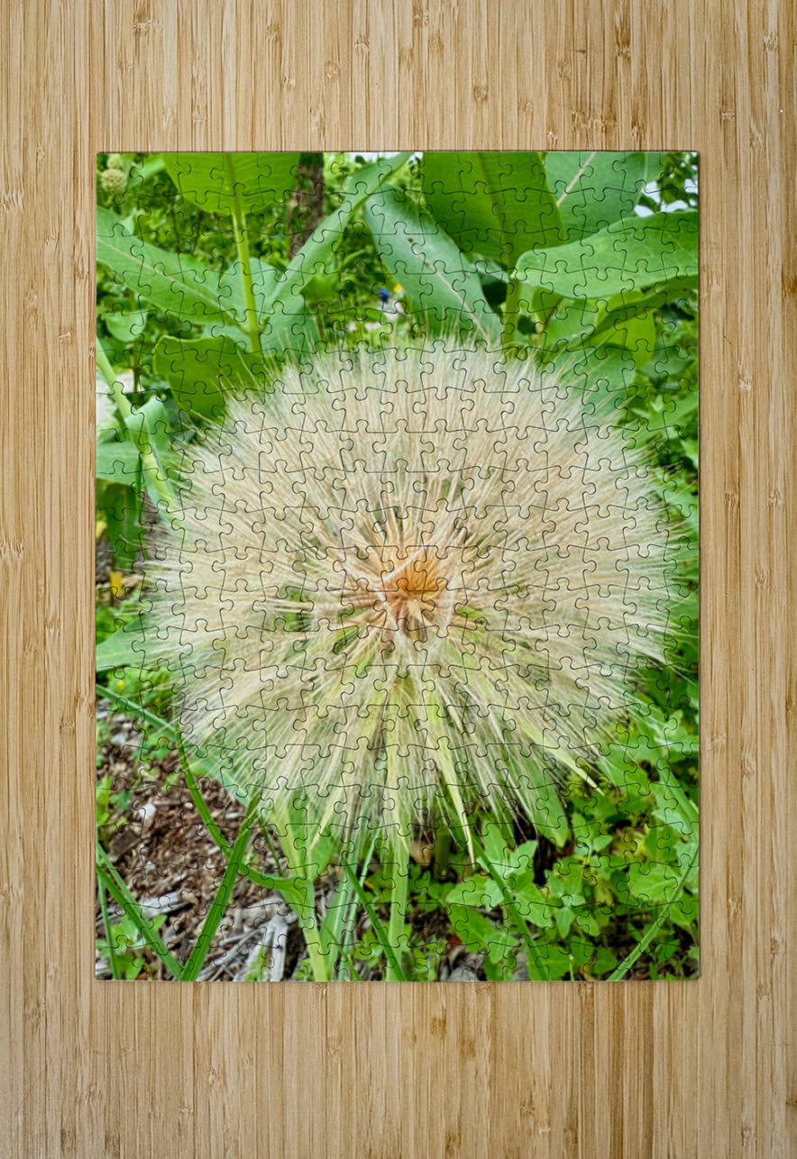 Prairie Starburst: A Prayer in Plant Form Click4Pix Puzzle printing