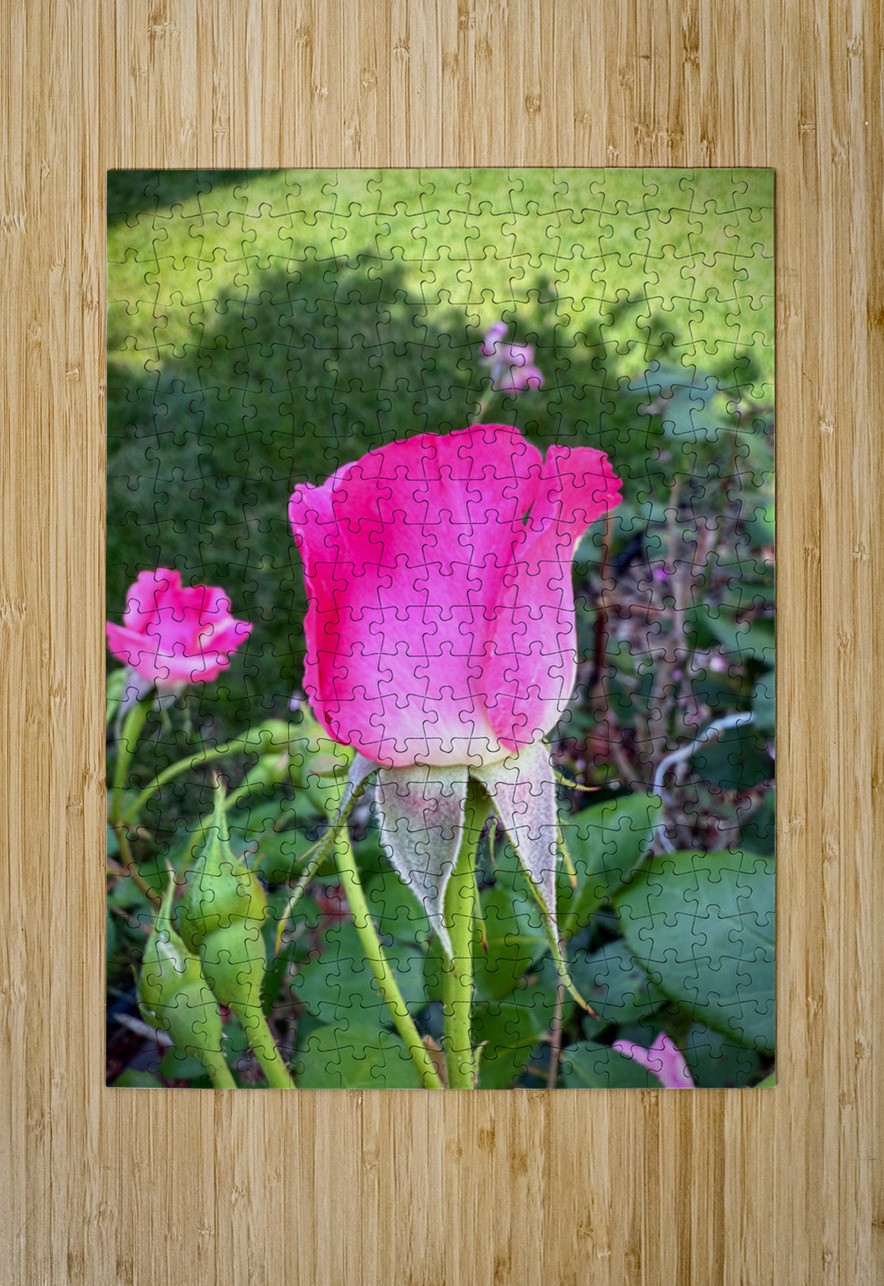 Velvet Guard of the Gardens Heart Click4Pix Puzzle printing