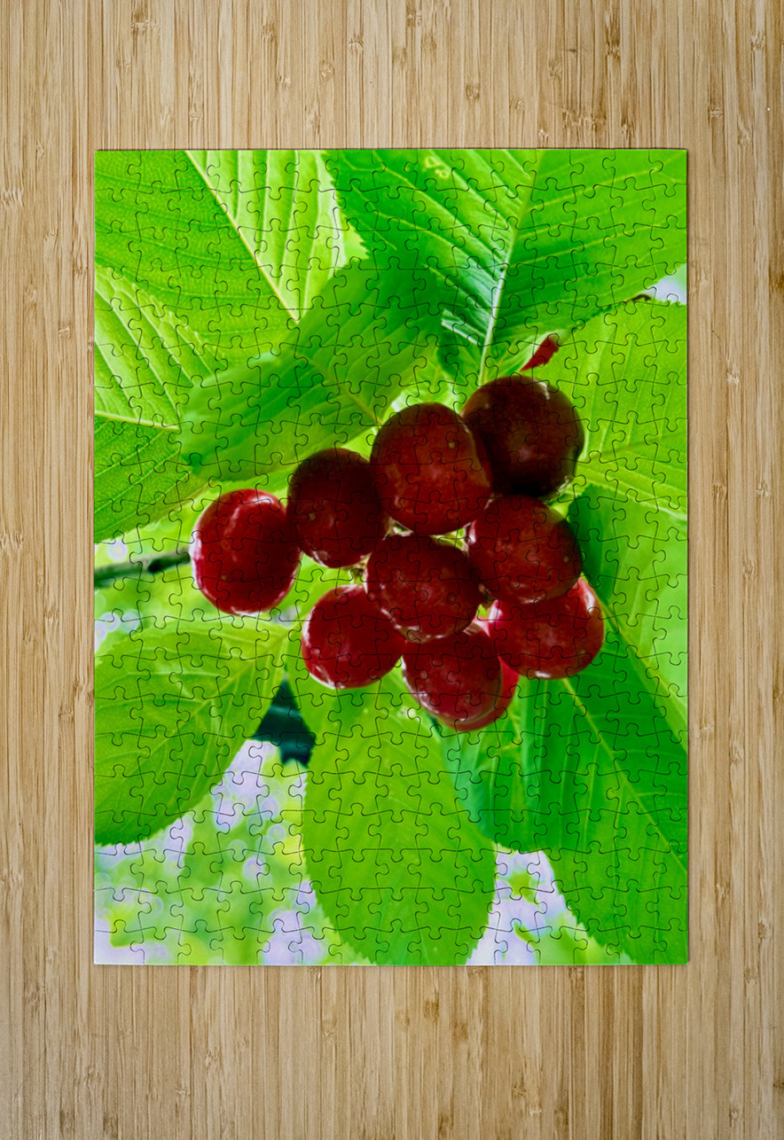 Jewels of the Canopy: The Hidden Orchard Crown Click4Pix Puzzle printing