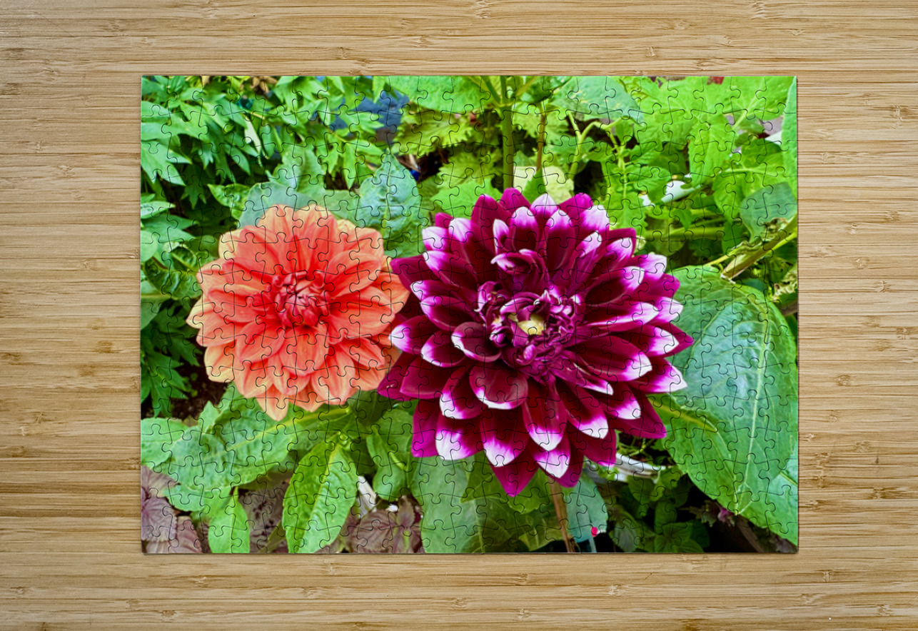 Nature’s Take on Balance and Beauty Click4Pix Puzzle printing