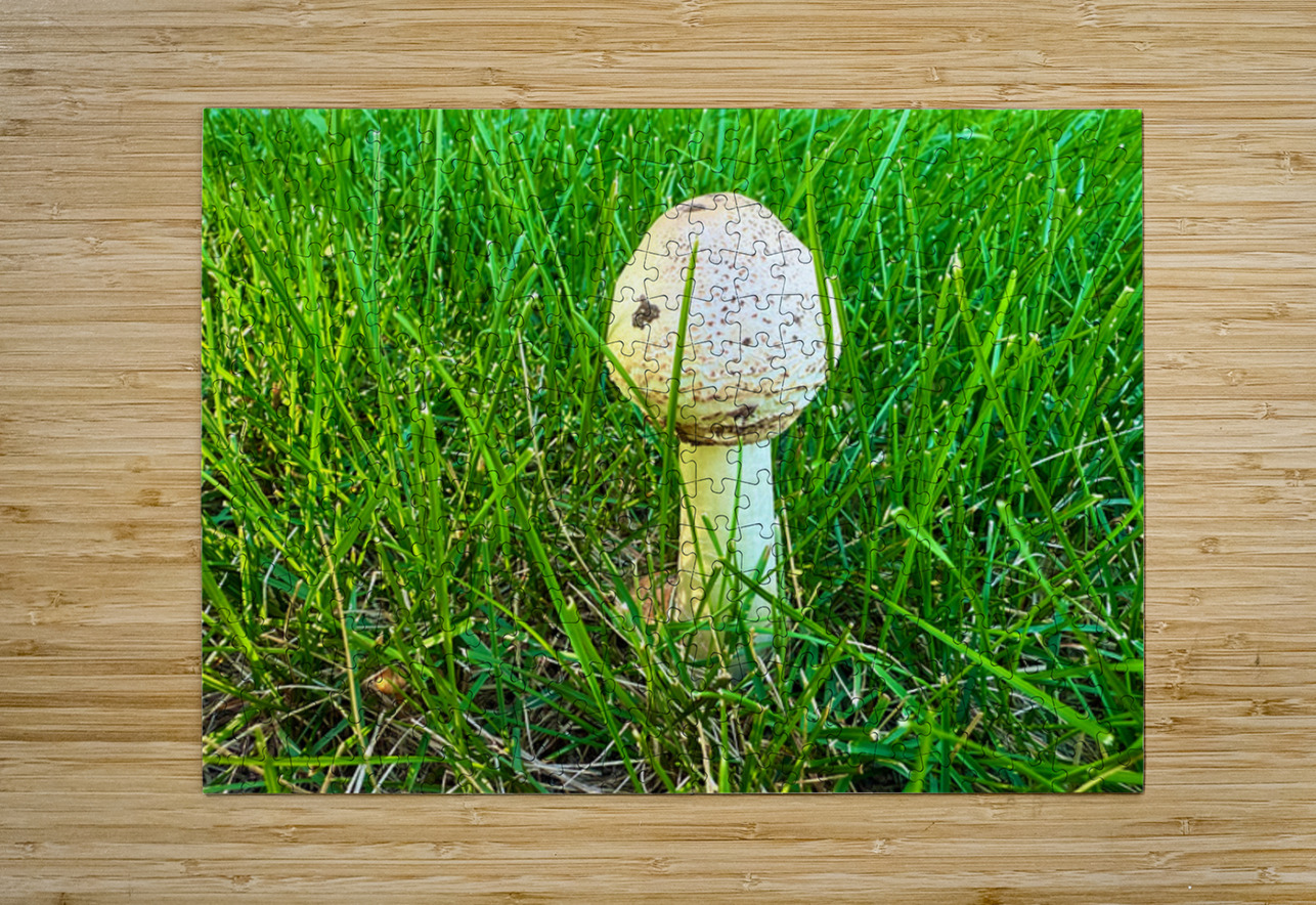 A Quiet Uprising from Below Click4Pix Puzzle printing