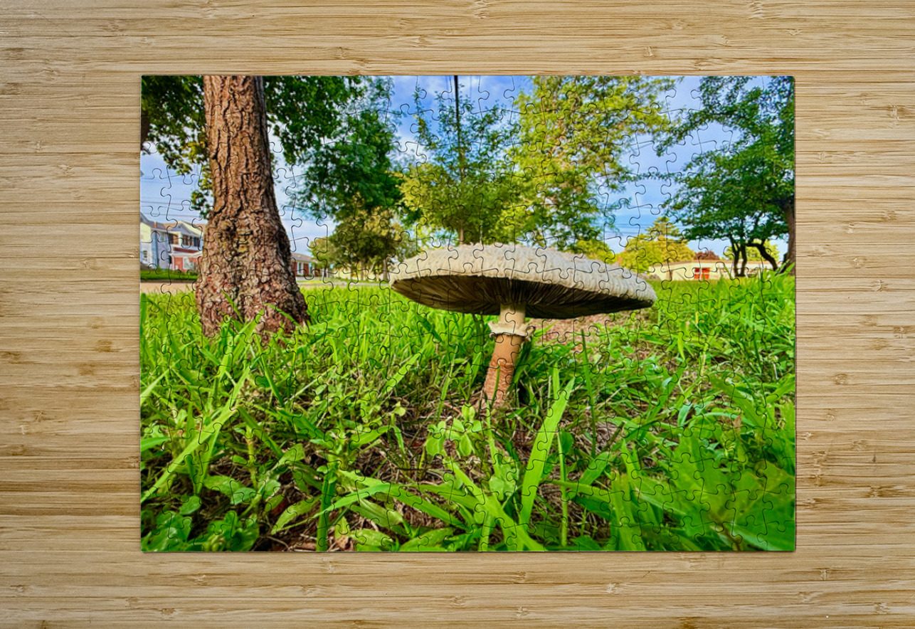 The Lone Umbrella of Morning Light Click4Pix Puzzle printing