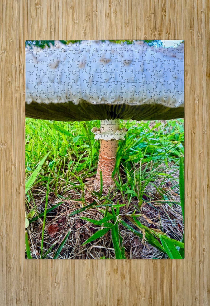 Under the Cap: A Fungal World Revealed Click4Pix Puzzle printing