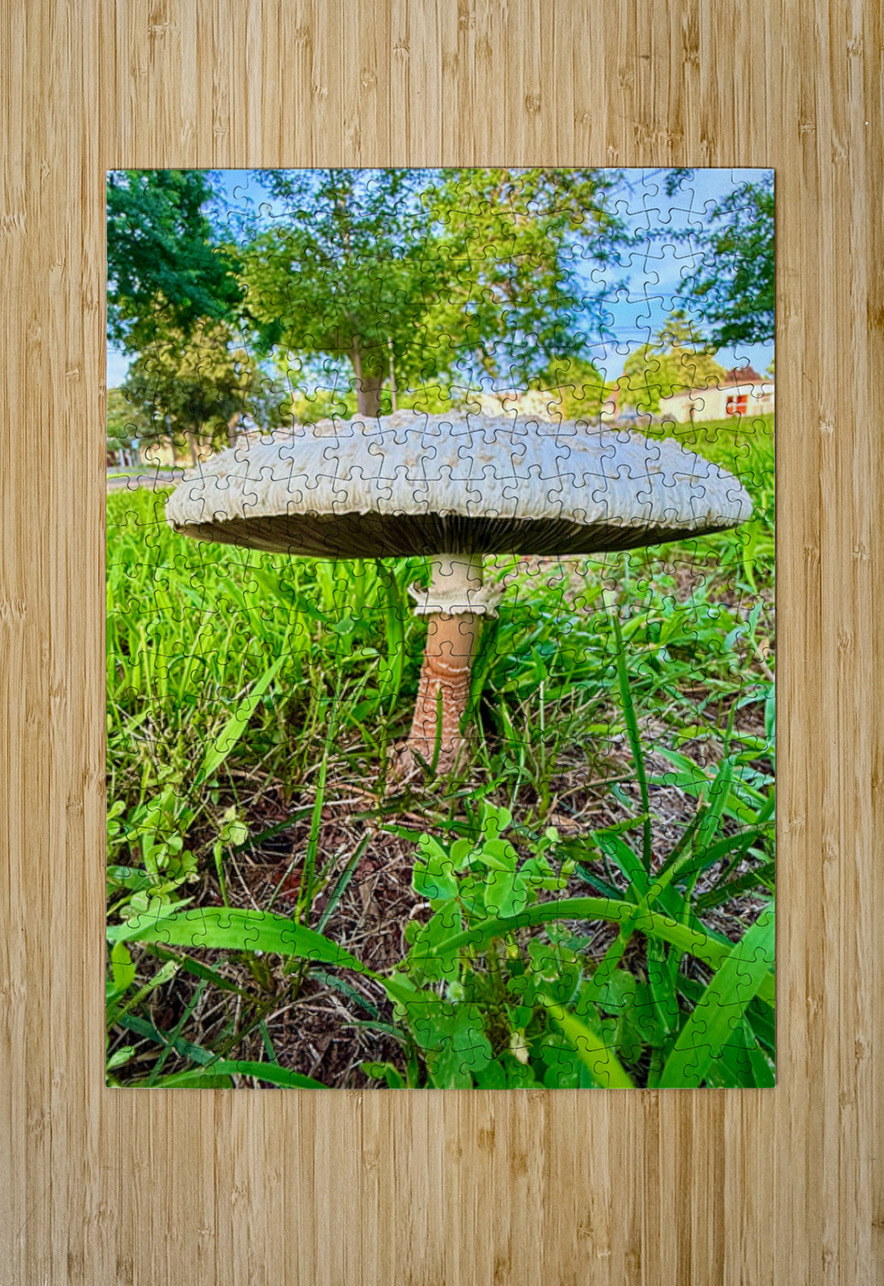 Pillar of the Undergrowth Click4Pix Puzzle printing