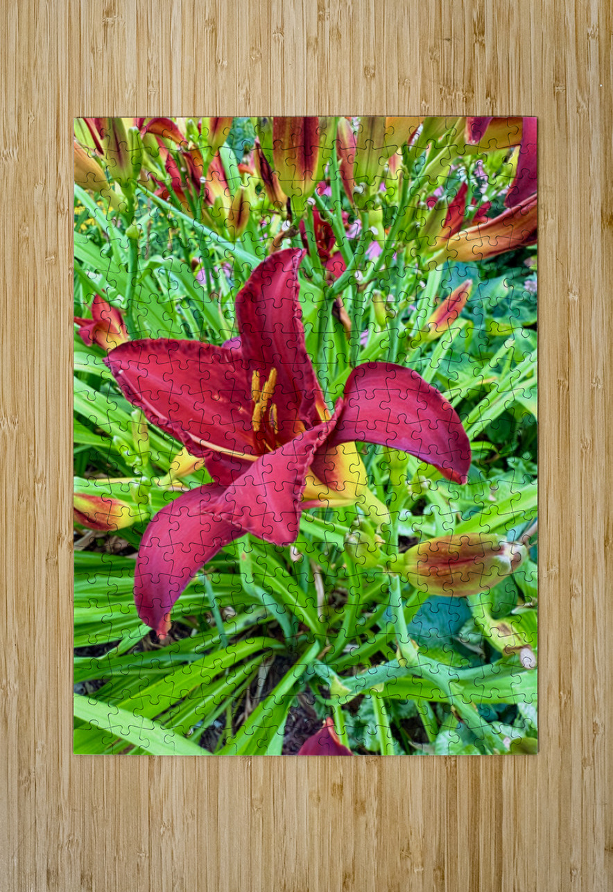 Royal Daylily Portrait Click4Pix Puzzle printing