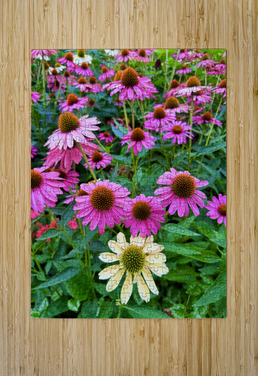 The Garden Collective Click4Pix Puzzle printing