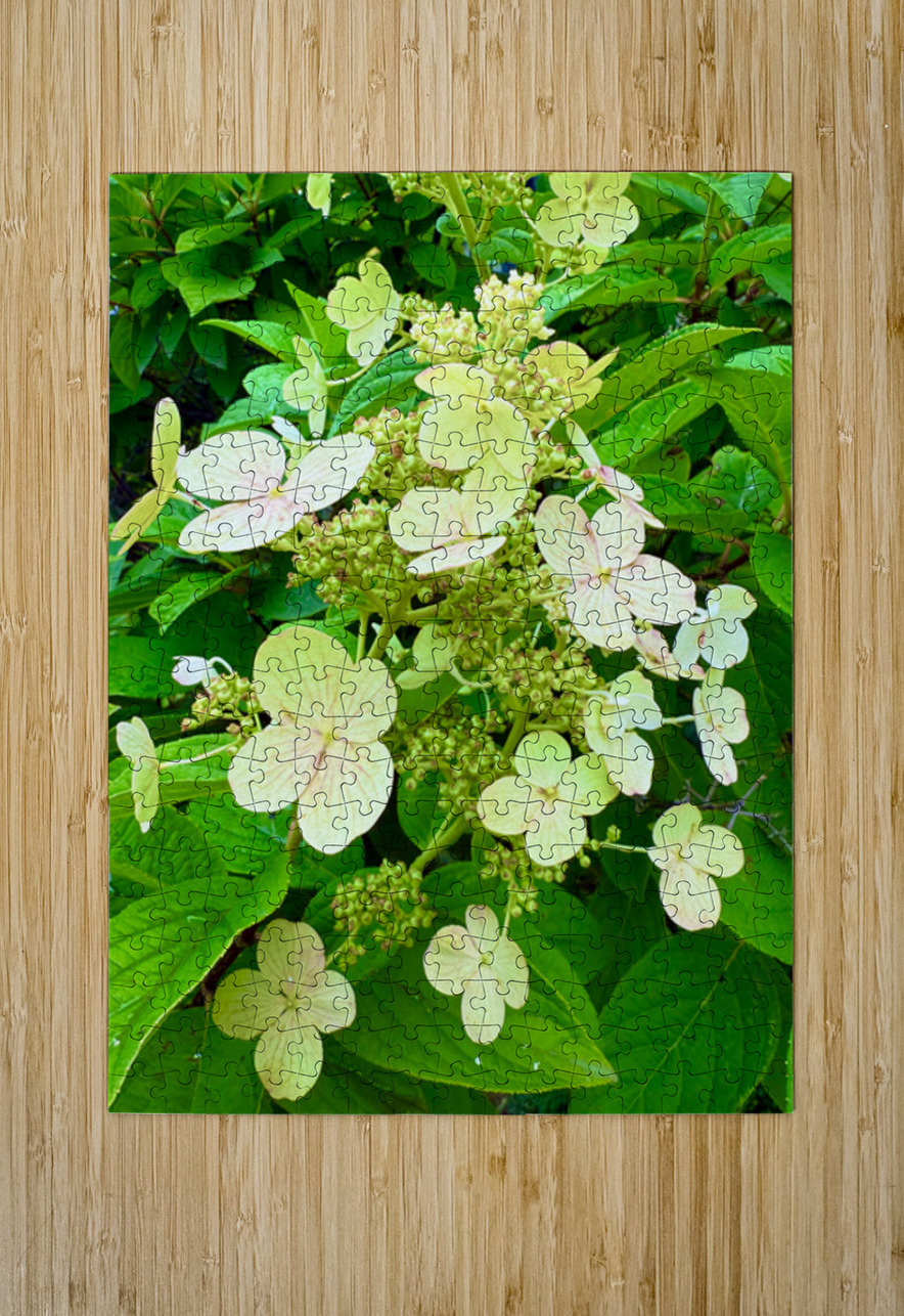  Pale Hydrangea Cluster Click4Pix Puzzle printing