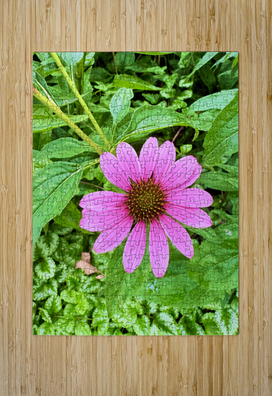 Heart of Summer Click4Pix Puzzle printing