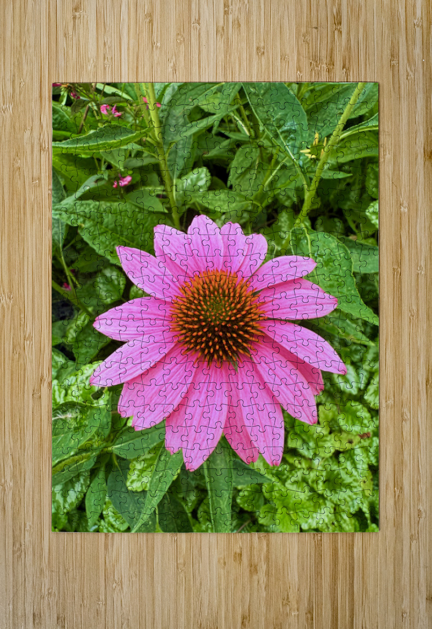 Pink Serenity Click4Pix Puzzle printing