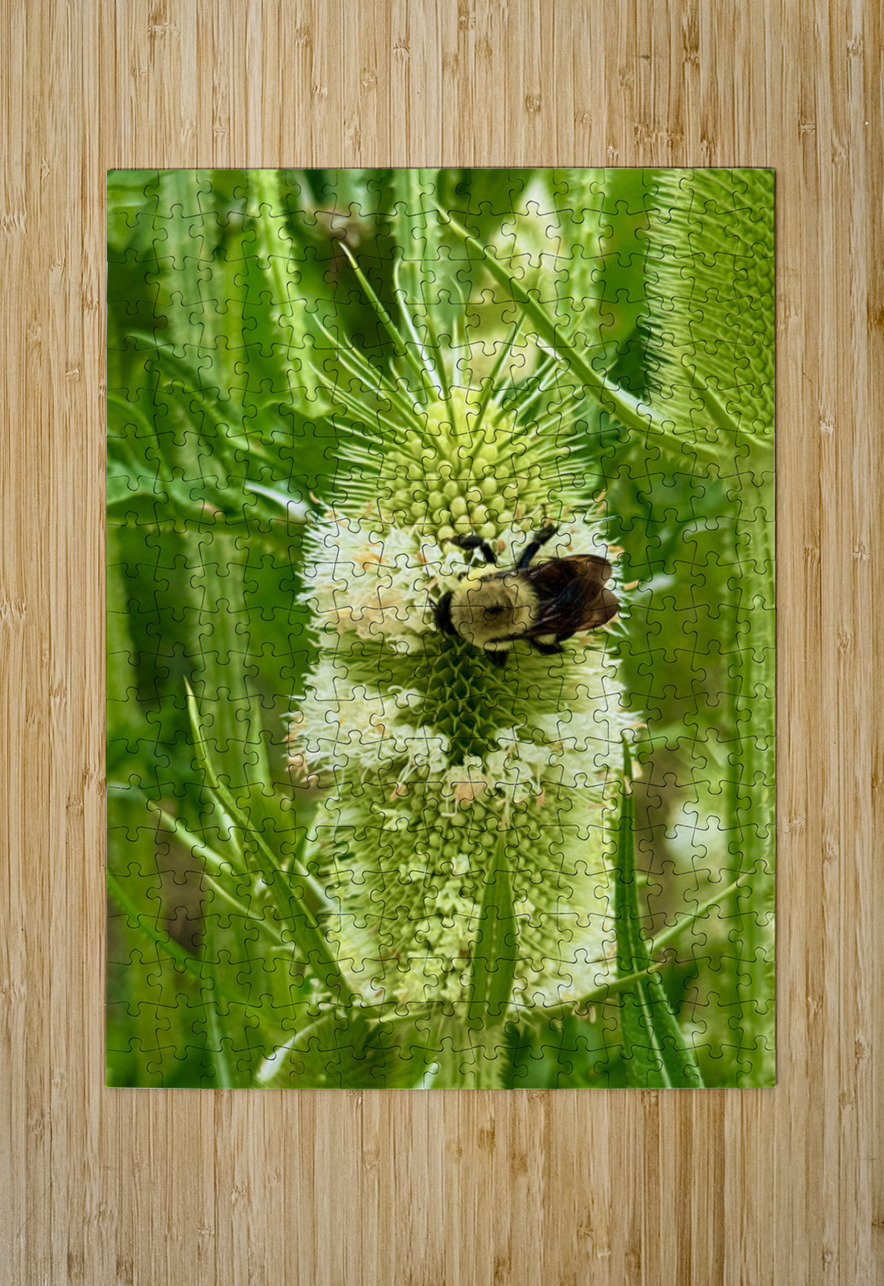Teasel Crownwork Click4Pix Puzzle printing