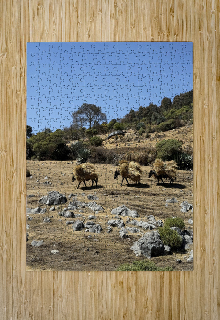 IMG 9558 Click4Pix Puzzle printing