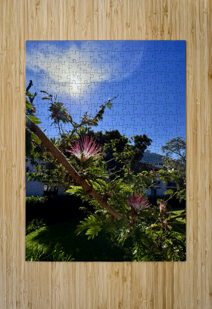 IMG 0024 Click4Pix Puzzle printing